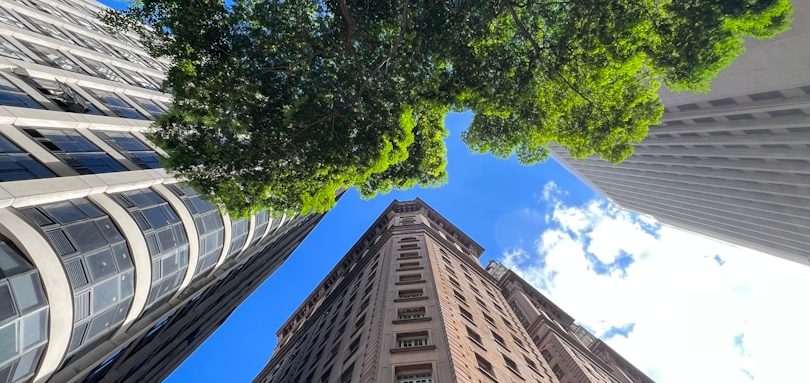 Wachstumsmarkt Brasilien Blick auf moderne Wolkenkratzer und Bäume – Der Wachstumsmarkt Brasilien bietet enorme Chancen für deutsche KMU